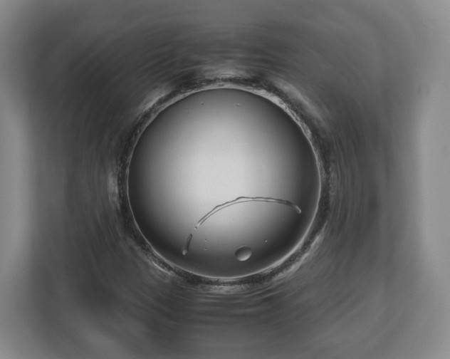 X0000113091305200909041141