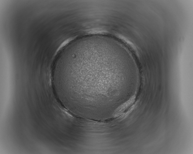 X0000113091306200909041141