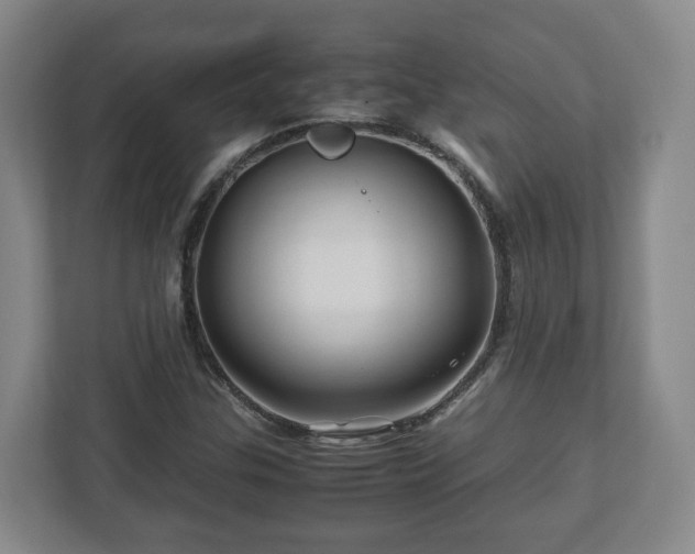 X0000113091307200909041141