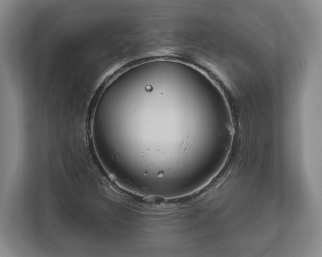 X0000113091308200909041141