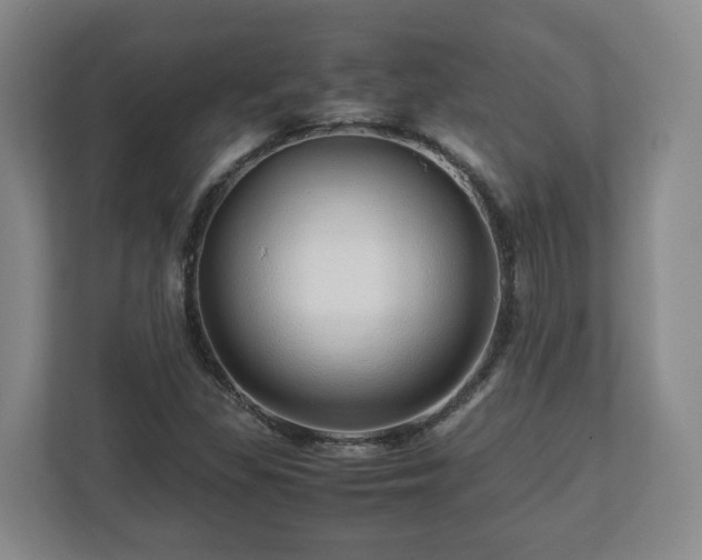 X0000113091309200909041141
