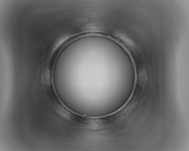 X0000113091310200909041141