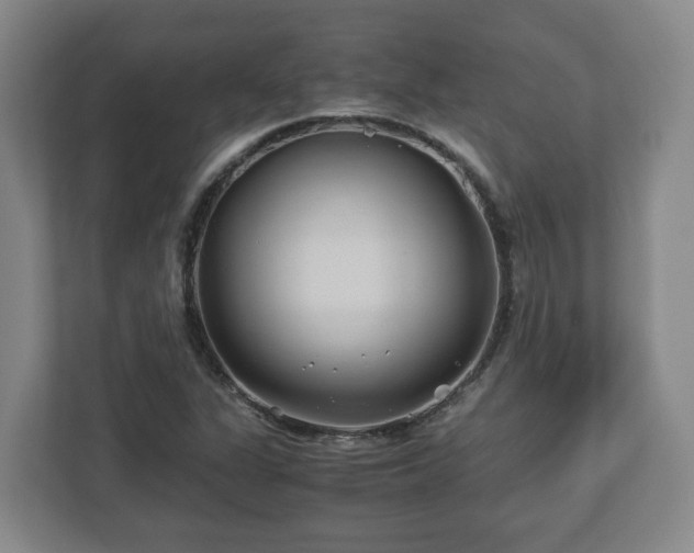 X0000113091311200909041141
