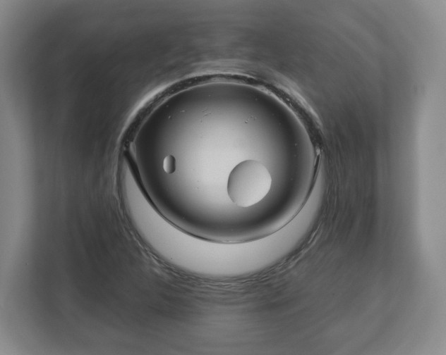 X0000113091312200909041141