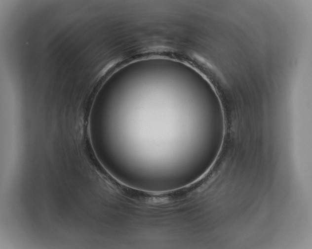 X0000113091313200909041141