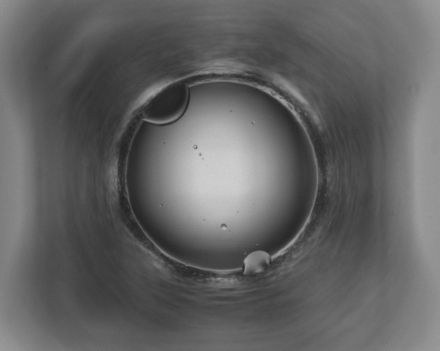 X0000113091315200909041141