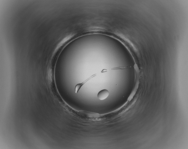 X0000113091317200909041141