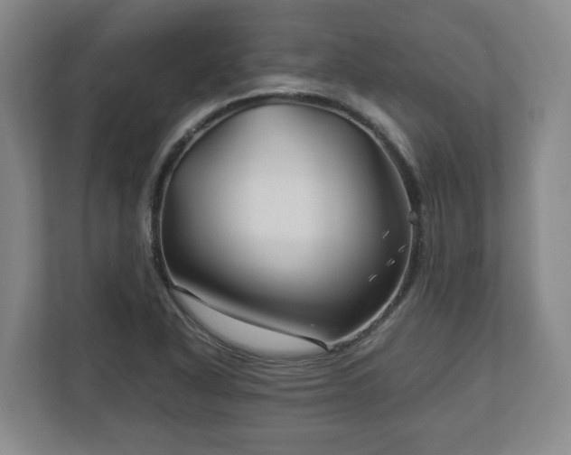 X0000113091318200909041141