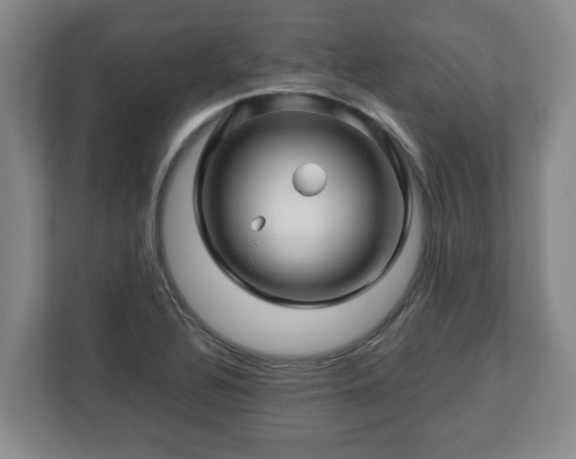 X0000113091320200909041141