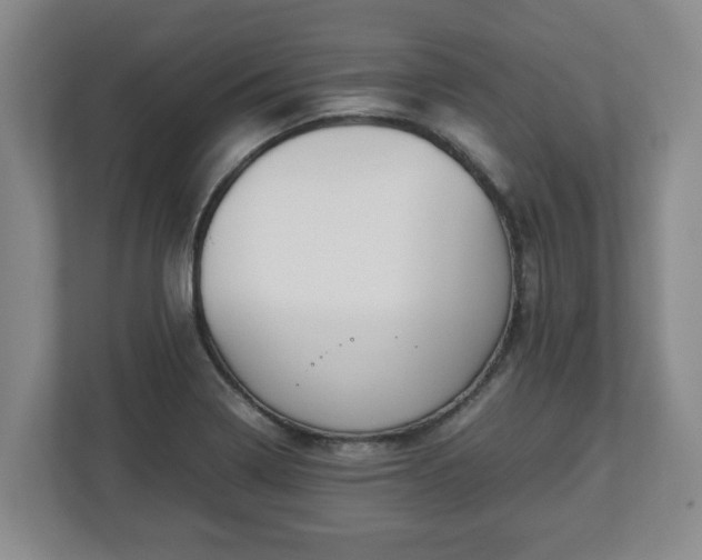 X0000113091322200909041141