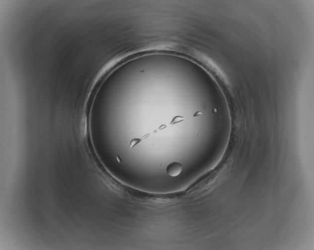 X0000113091324200909041141