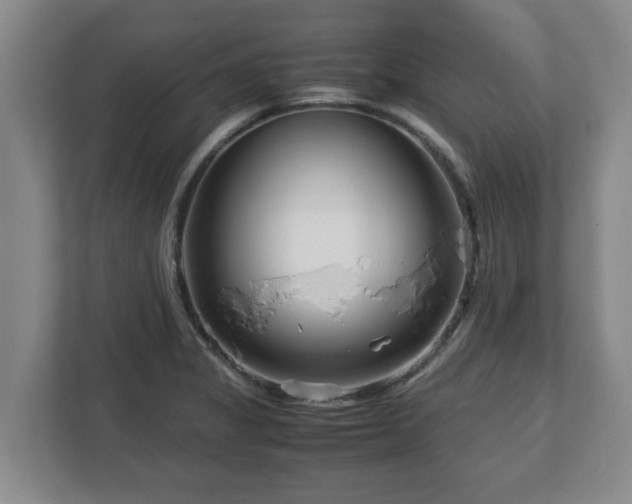 X0000113091325200909041141