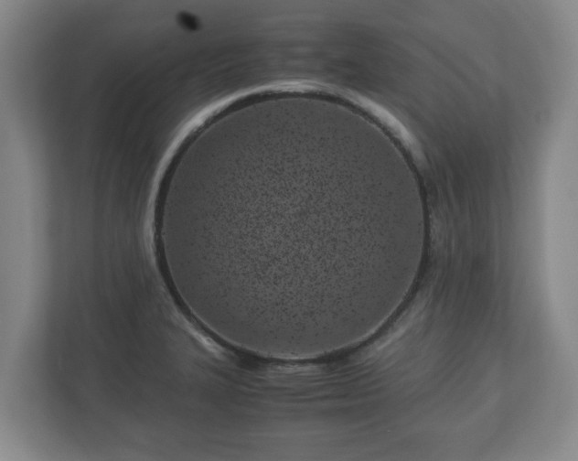 X0000113091327200909041141