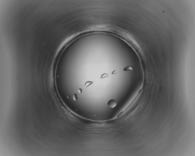 X0000113091328200909041141