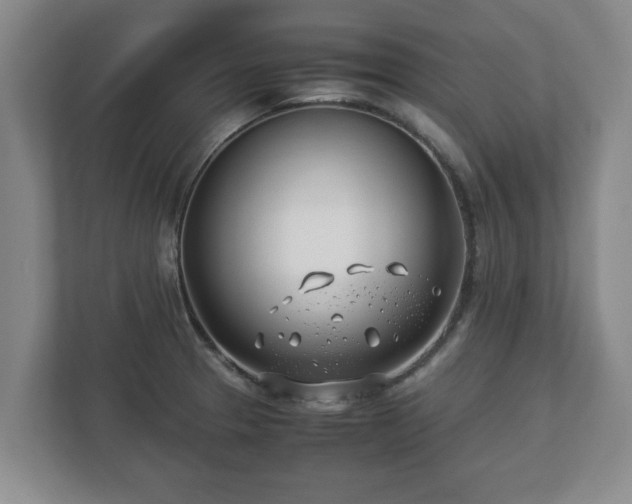 X0000113091329200909041141
