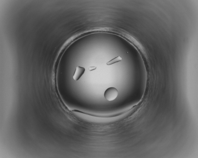 X0000113091332200909041141