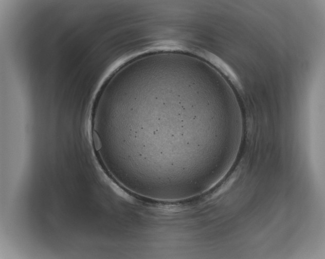 X0000113091334200909041141
