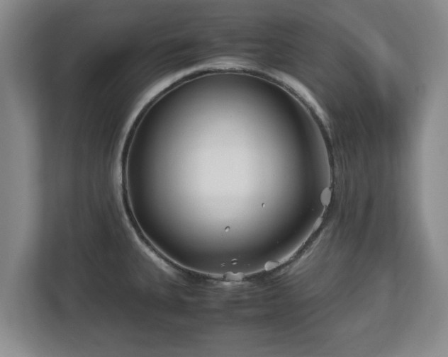 X0000113091335200909041141