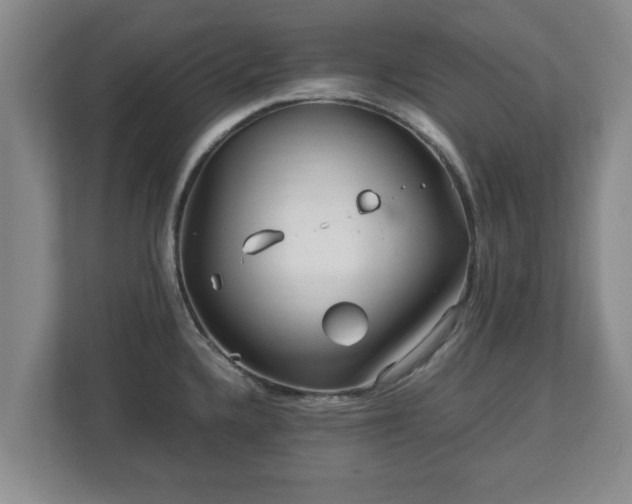 X0000113091336200909041141