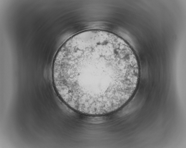 X0000113091338200909041141