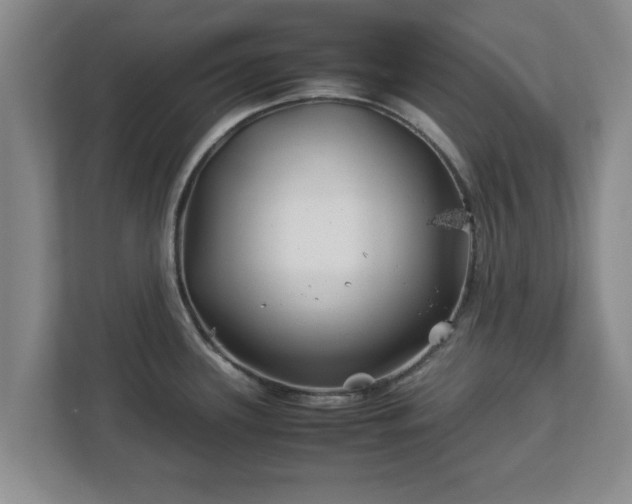 X0000113091339200909041141