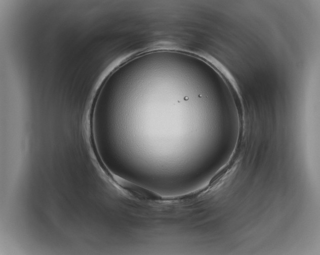 X0000113091341200909041141