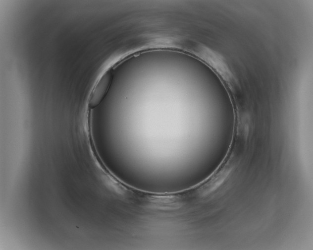 X0000113091342200909041141