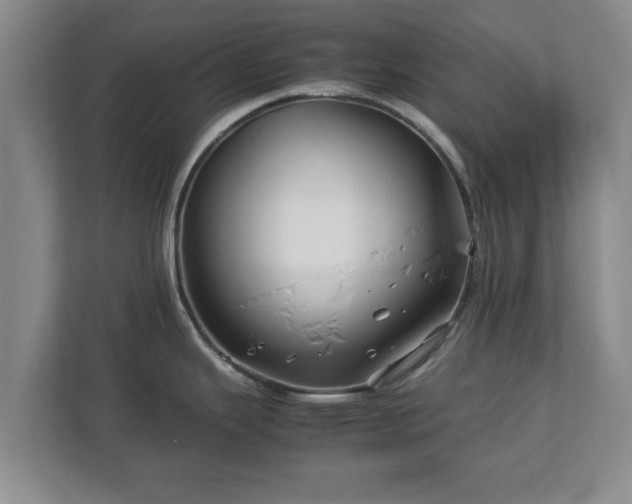 X0000113091343200909041141