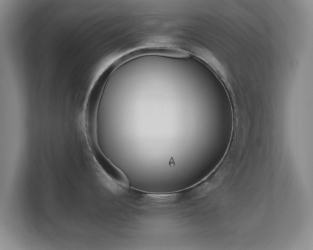 X0000113091344200909041141