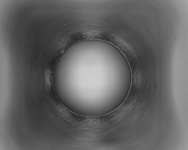 X0000113091346200909041141