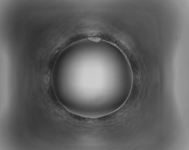 X0000113091349200909041140