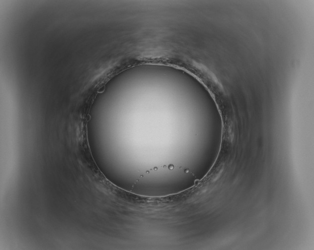 X0000113091350200909041140