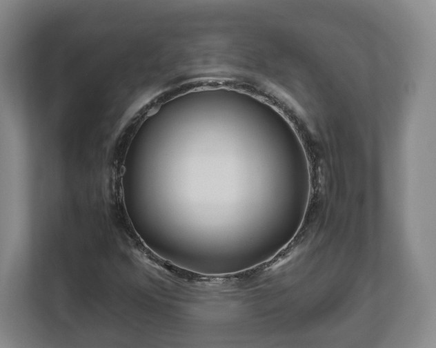 X0000113091352200909041140