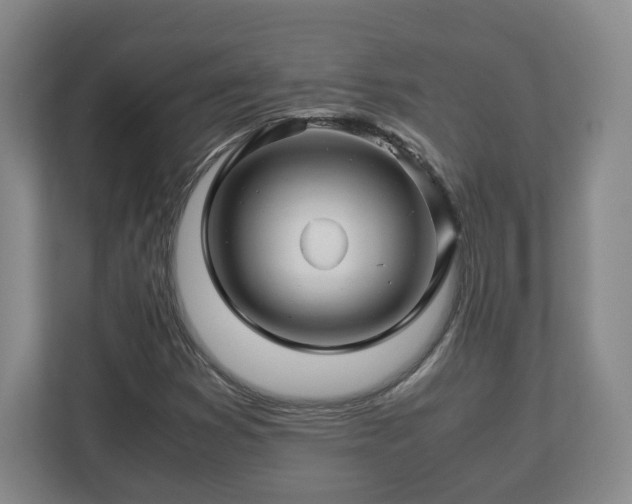 X0000113091353200909041140