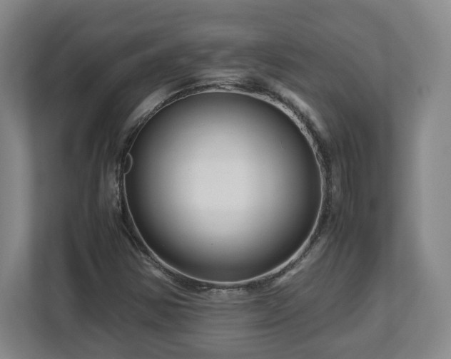 X0000113091354200909041140