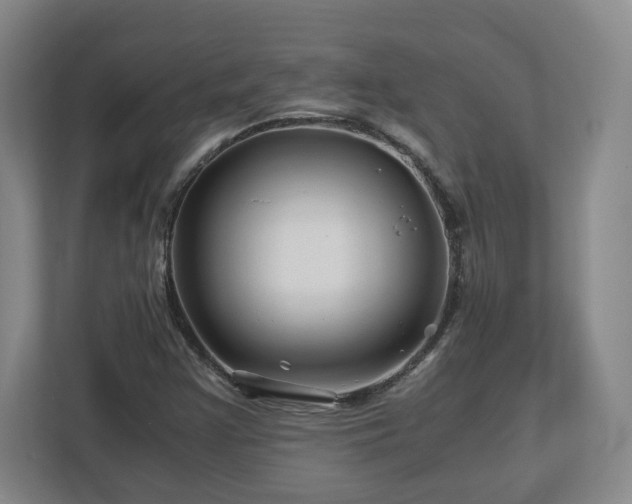 X0000113091355200909041140