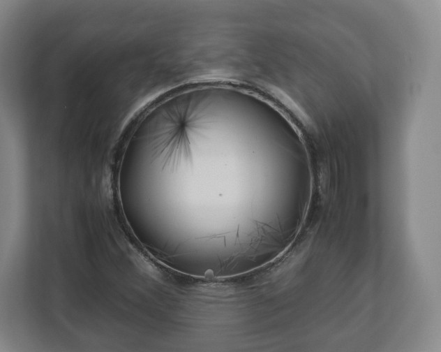 X0000113091356200909041140