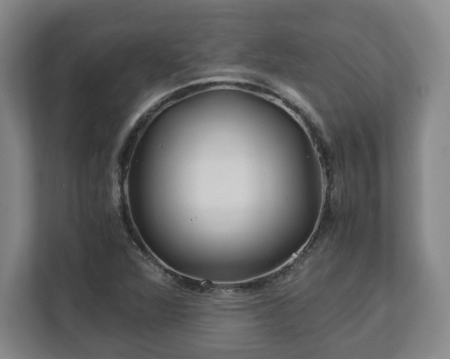 X0000113091360200909041140