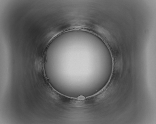 X0000113091361200909041140