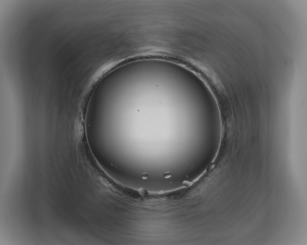 X0000113091363200909041140