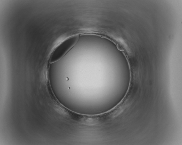 X0000113091365200909041140