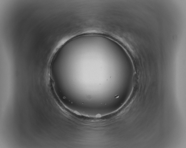 X0000113091367200909041140