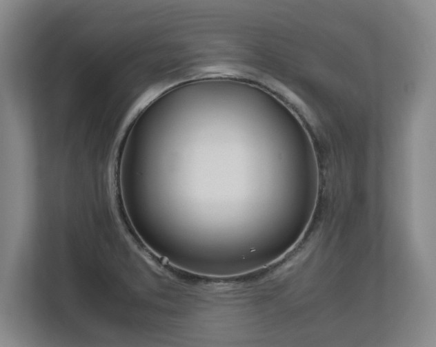 X0000113091373200909041140