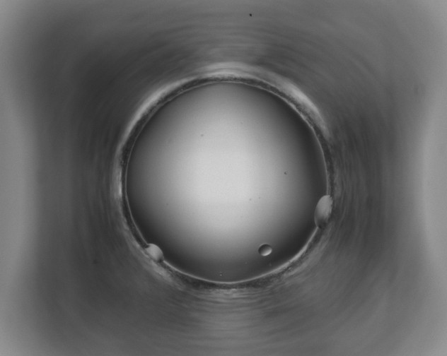 X0000113091376200909041140