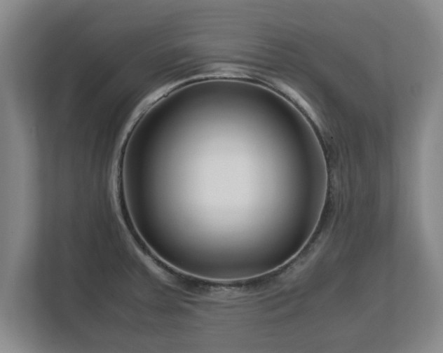 X0000113091379200909041140