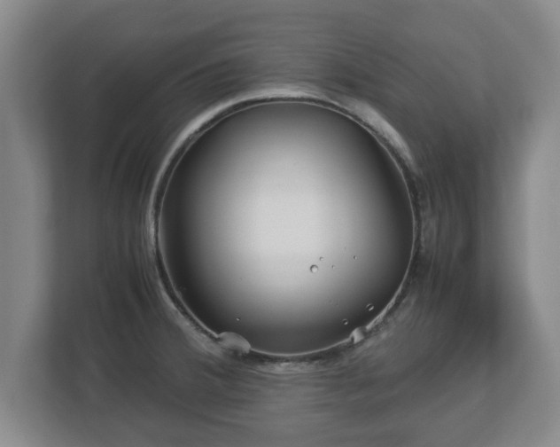 X0000113091380200909041140
