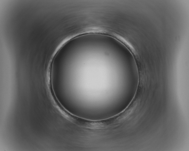 X0000113091383200909041140
