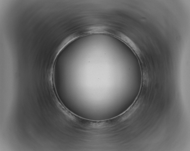 X0000113091386200909041140