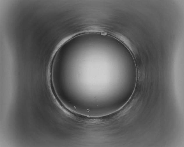 X0000113091387200909041140