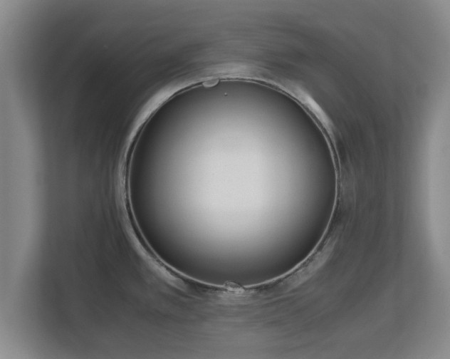X0000113091389200909041140
